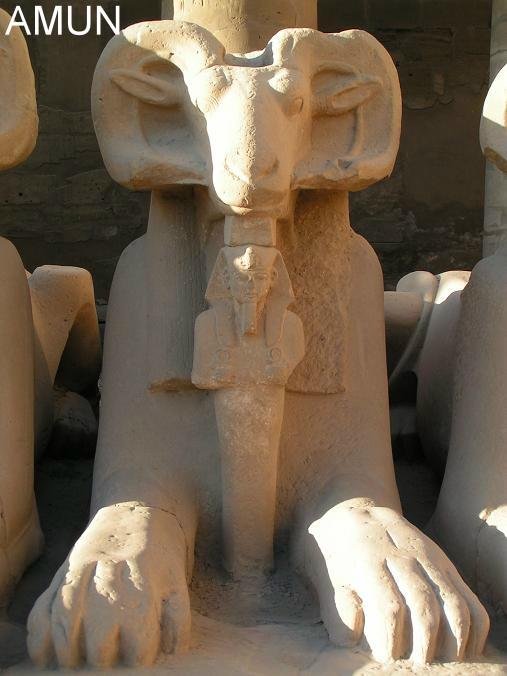 Tagesausflug nach Luxor/Bus