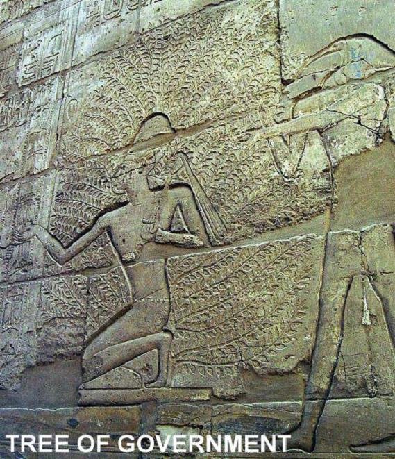 Tagesausflug nach Luxor/Bus