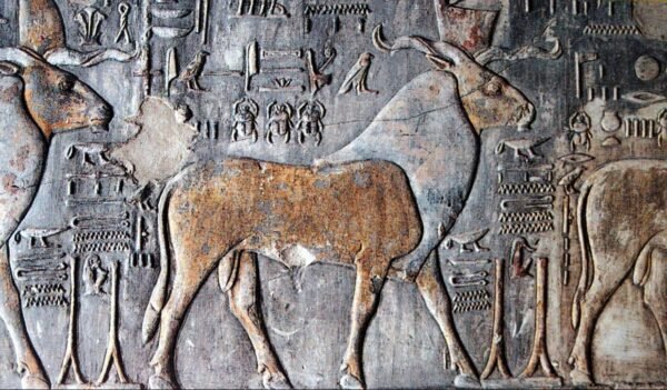 Tagesausflug nach Luxor/Bus