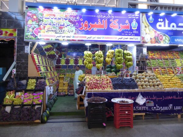 Hurghada City Tour