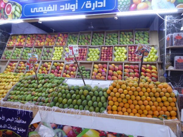 Hurghada City Tour