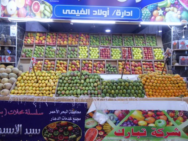 Hurghada City Tour