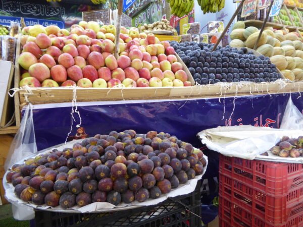 Hurghada City Tour