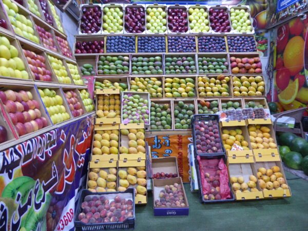 Hurghada City Tour