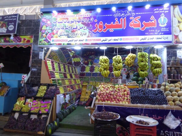 Hurghada City Tour
