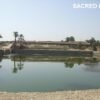 Tagesausflug nach Luxor/Bus