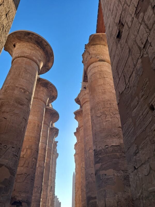 WhatsApp Image 2026-01-24 at 00.35.05 Tagesausflug nach Luxor/Bus Kleine Gruppe