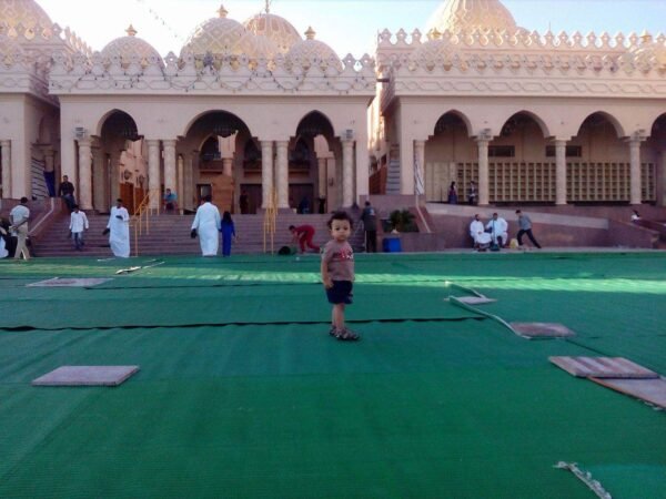 WhatsApp Image 2026-01-24 at 14.22.18 Hurghada City Tour